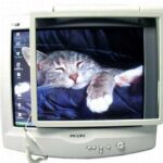 FILTRO PARA MONITOR MAXXTRO 14" A 16"  C/TIRA