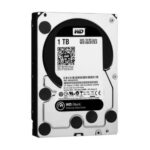 WD1003FZEX - DISCO DURO WD 1TB SATA 7200RPM 64MB
