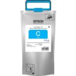 T973220 - EPSON T973 STDCAP DBUPRO CYN INK SUPPLY UNIT