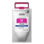 T973320 - EPSON T973 STDCAP DBUPRO MAG INK SUPPLY UNIT